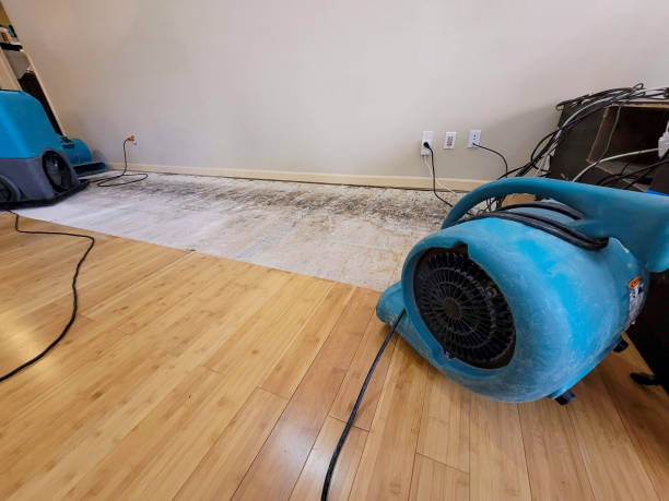 Professional Emergency Water Damage technician working in Gillett, WI